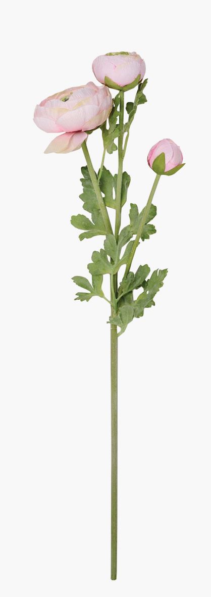 Lill roosa - 18x14x63,5 cm roosa - 1