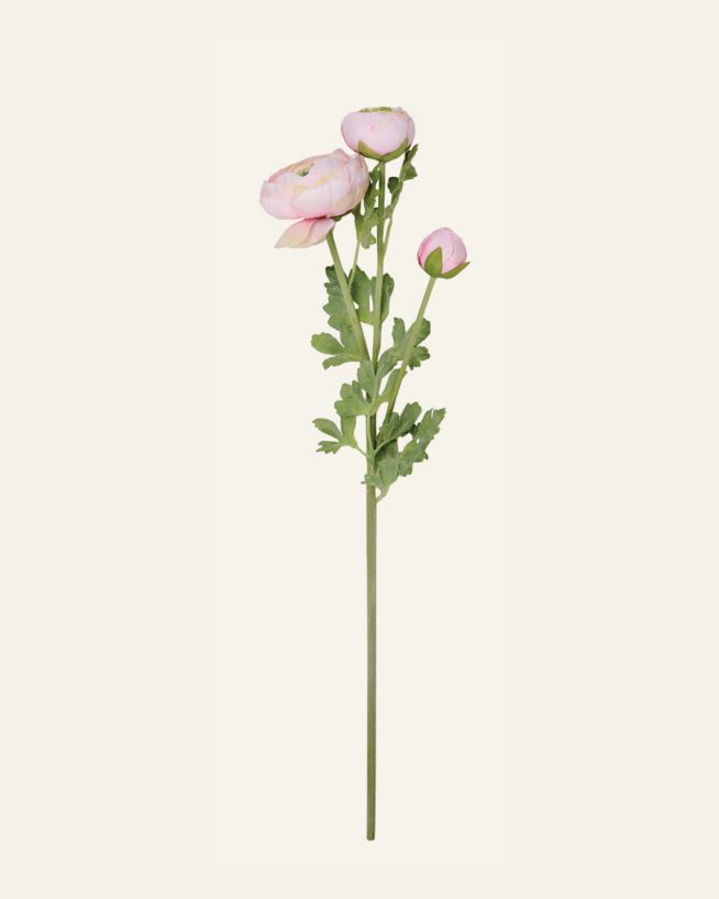Lill roosa - 18x14x63,5 cm roosa - 1