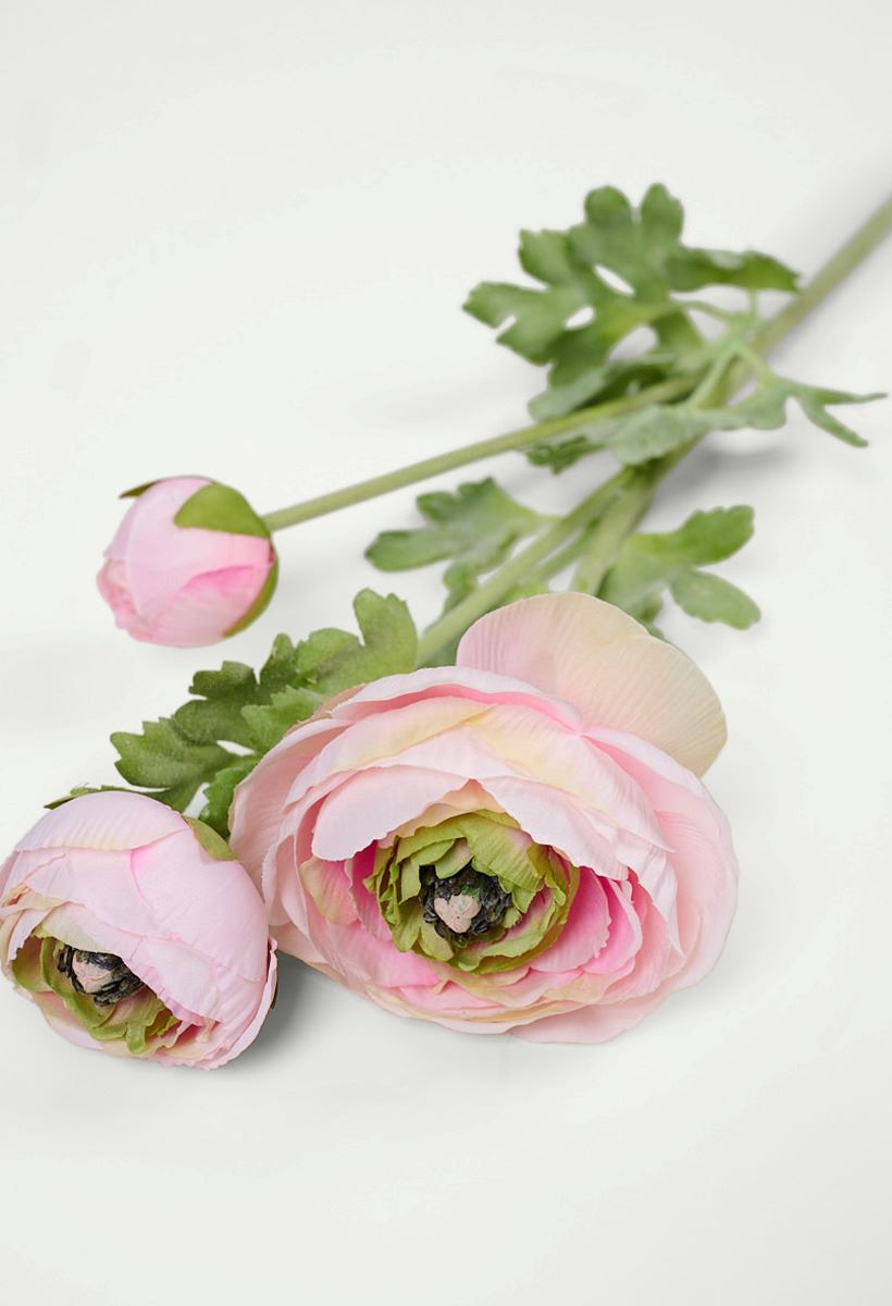 Lill roosa - 2