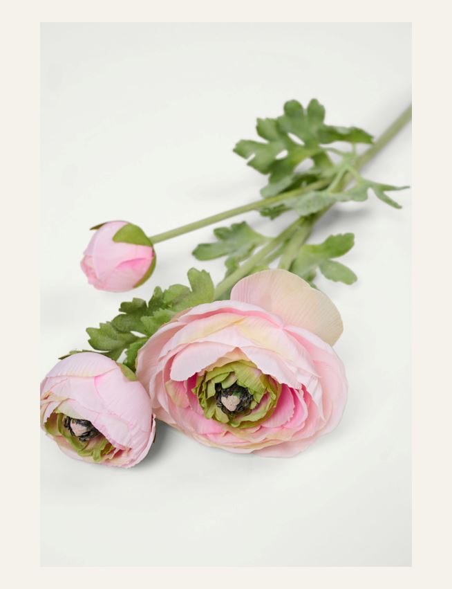 Lill roosa - 2