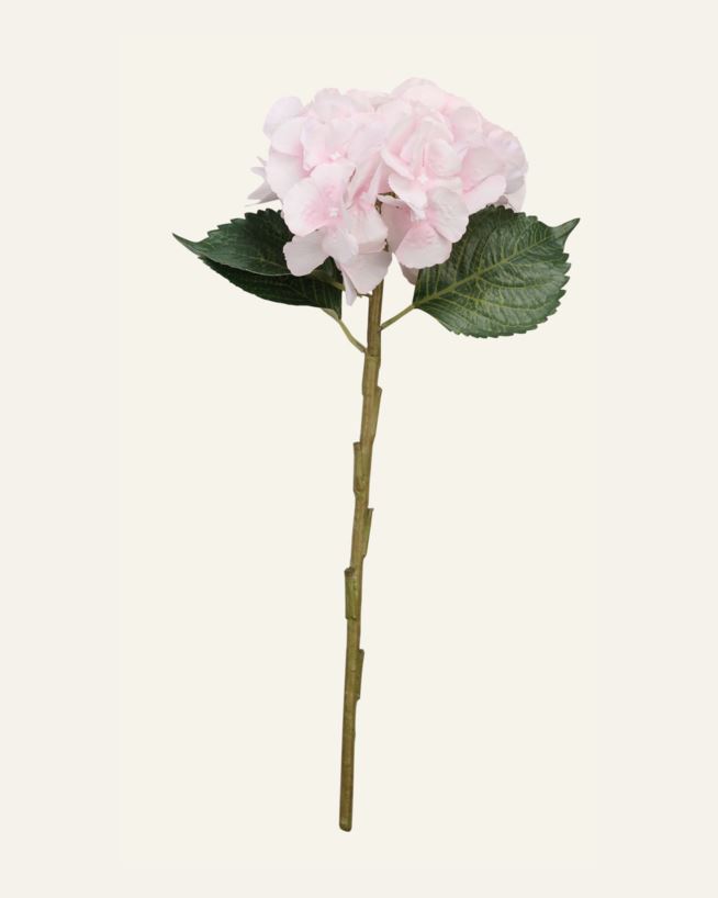 Lill roosa - 18x18x46 cm roosa - 1
