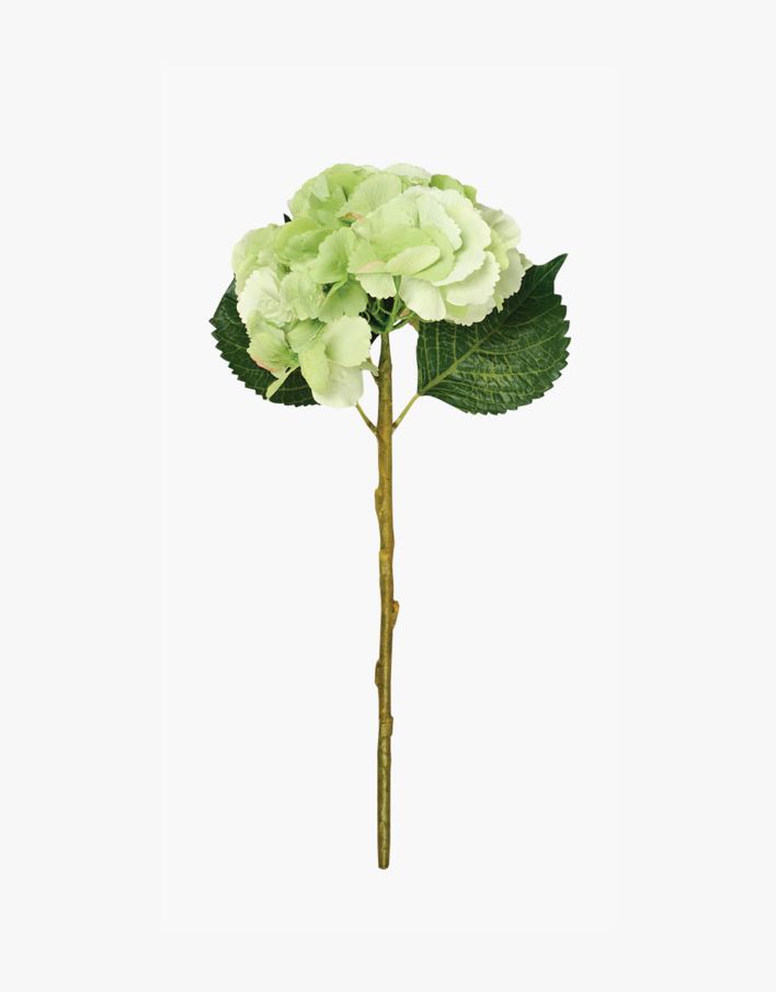 Lill roheline - 18x18x46 cm roheline - 1