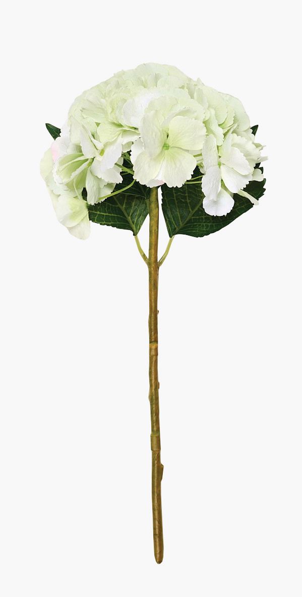 Lill heleroheline - 18x18x46 cm heleroheline - 1