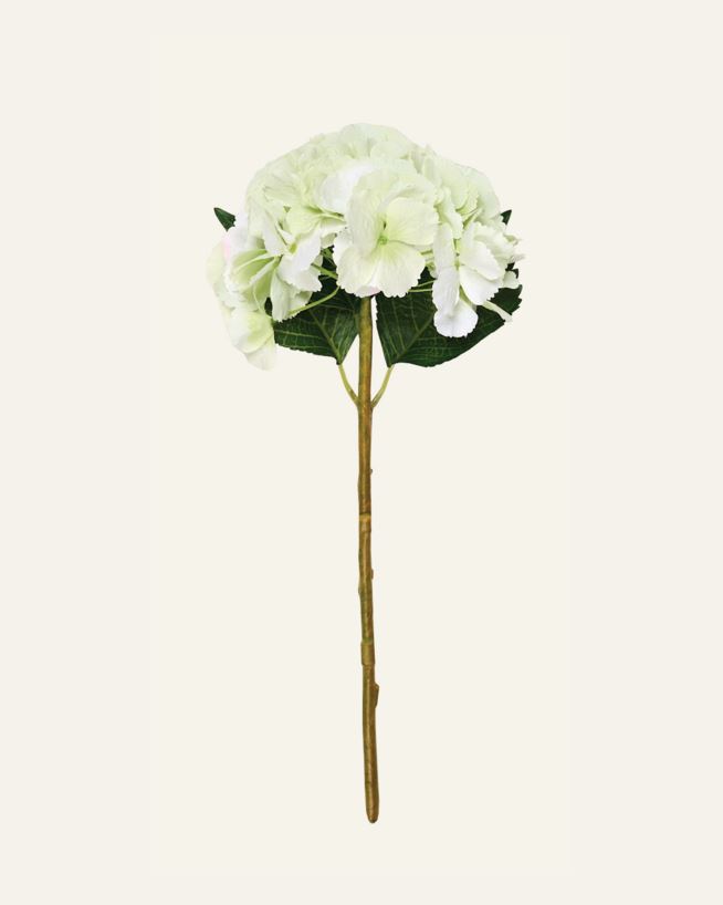 Lill heleroheline - 18x18x46 cm heleroheline - 1