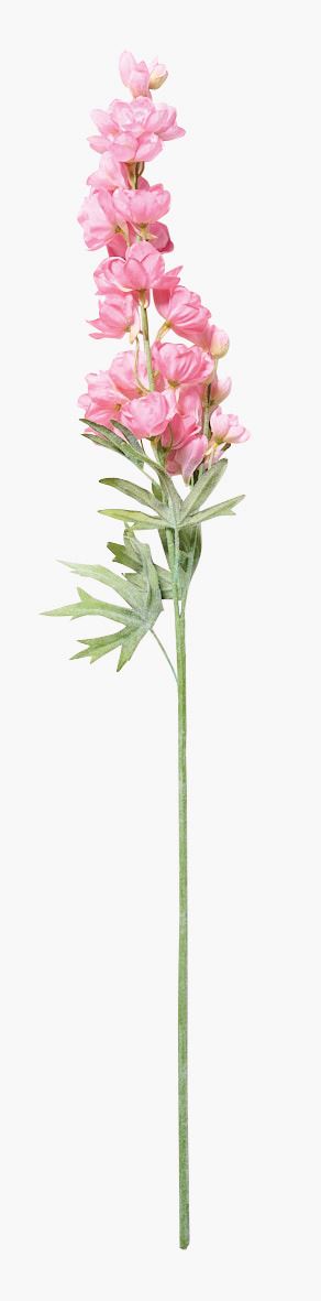 Lill roosa - 14x12x102 cm roosa - 1