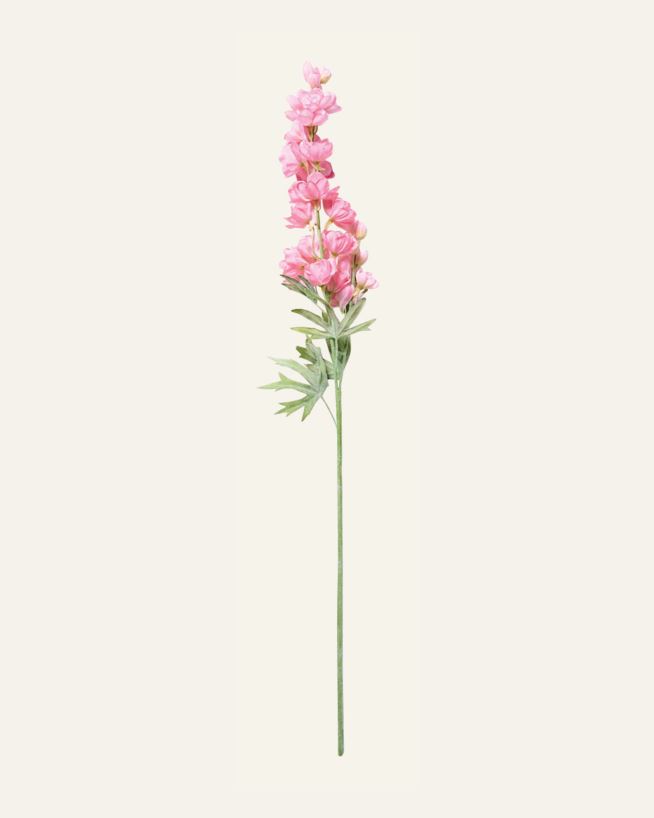Lill roosa - 14x12x102 cm roosa - 1