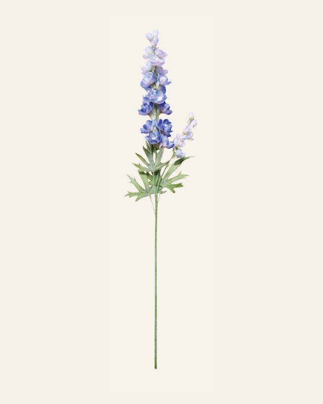Lill sinine - 14x12x102 cm sinine - 1