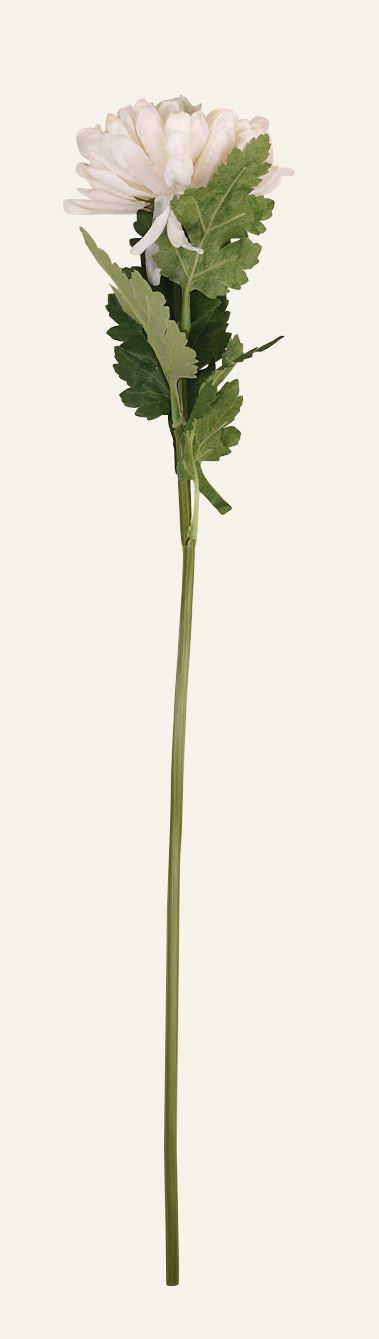 Lill valge - 19x17x71 cm valge - 1