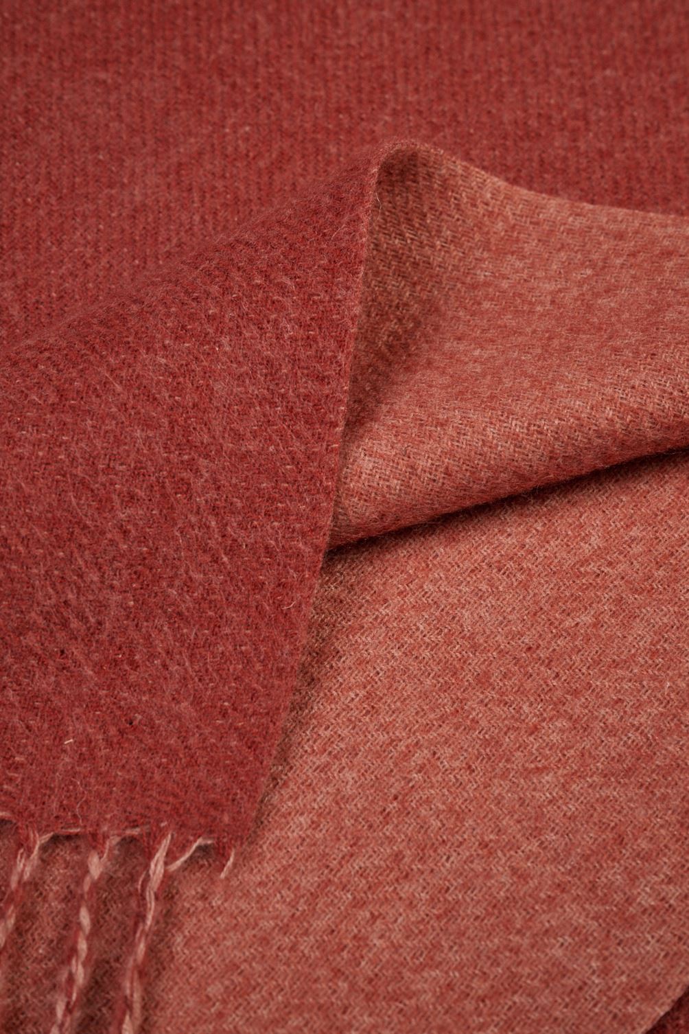 Pleed rooste - 2