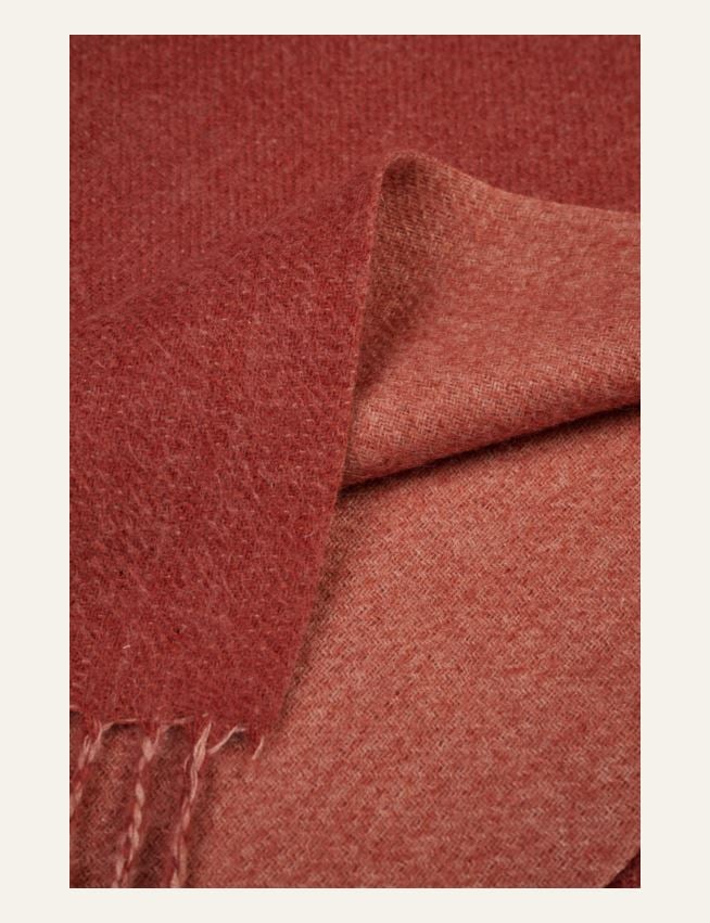Pleed rooste - 2
