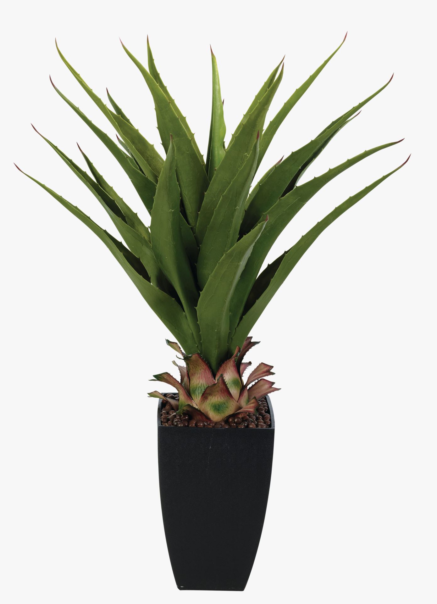 Taim roheline - 75 cm roheline - 1