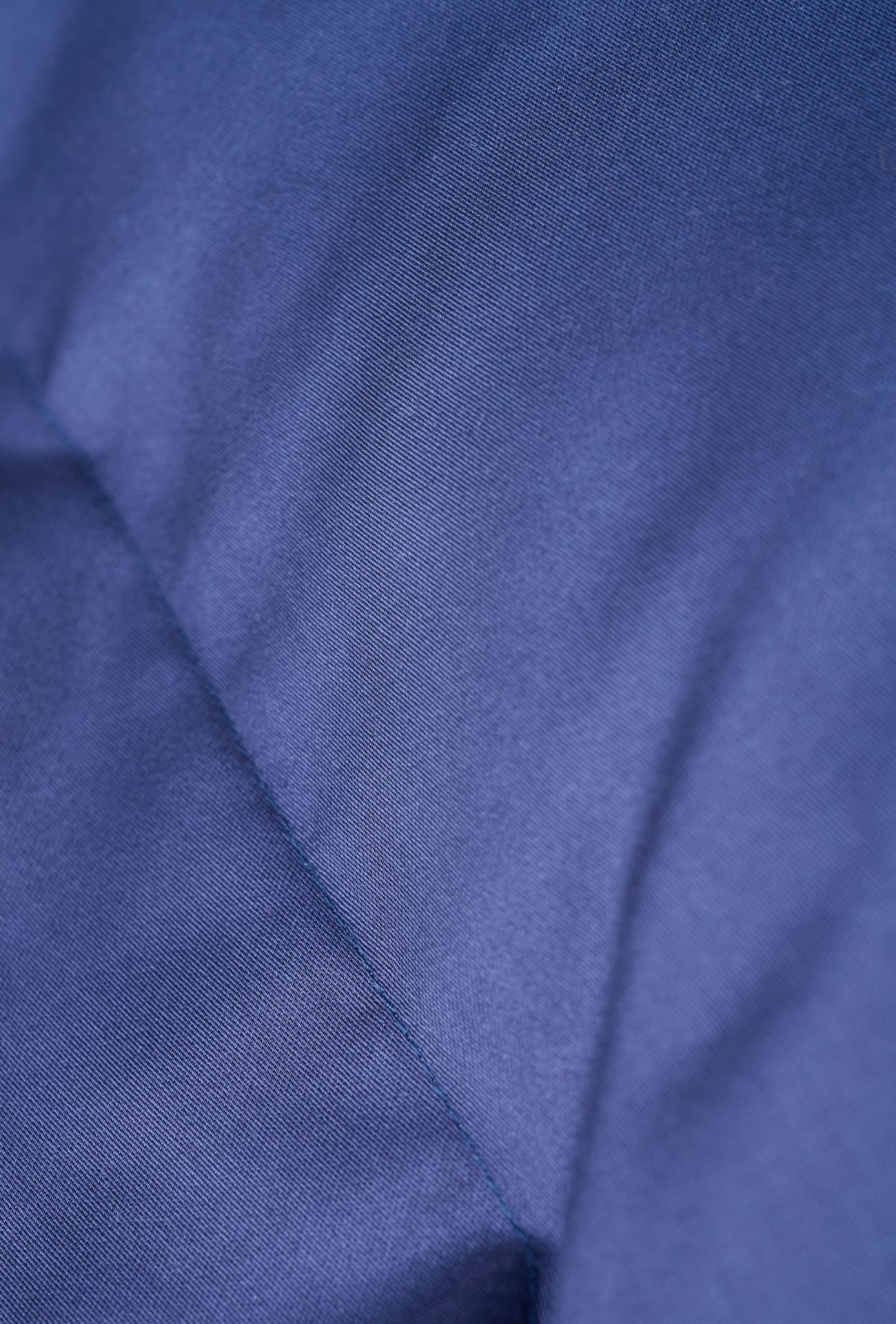 Padjapüür tumesinine - 2