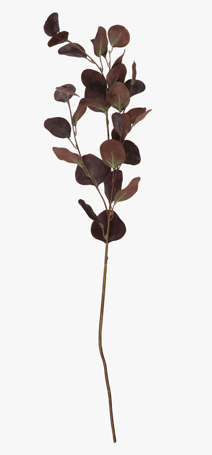 Oks tumepruun - 25x90 cm tumepruun - 1