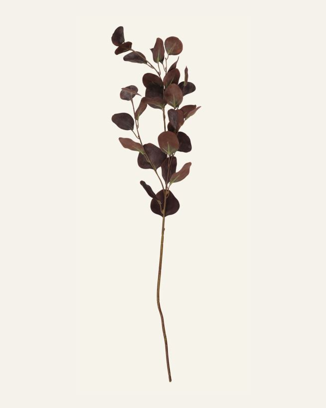 Oks tumepruun - 25x90 cm tumepruun - 1