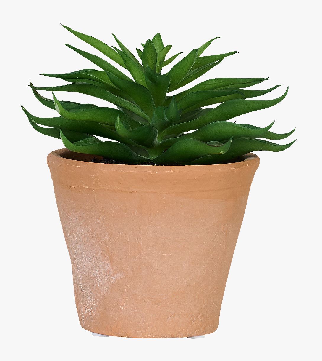 Mehikasvi mitmevärviline/roheline - 10x10x14 cm mitmevärviline/roheline - 1