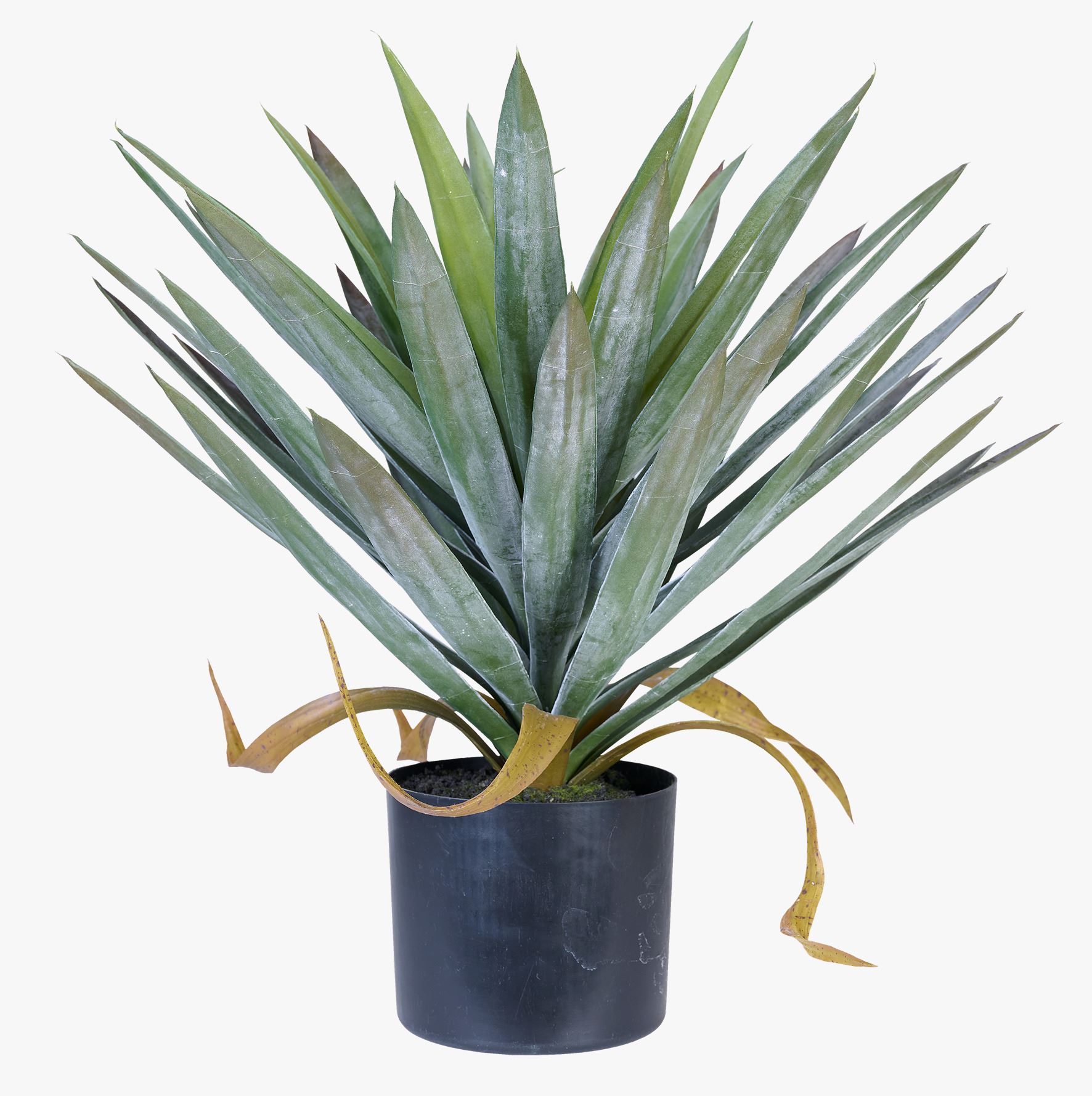 Taim roheline - 41x41x48 cm roheline - 1