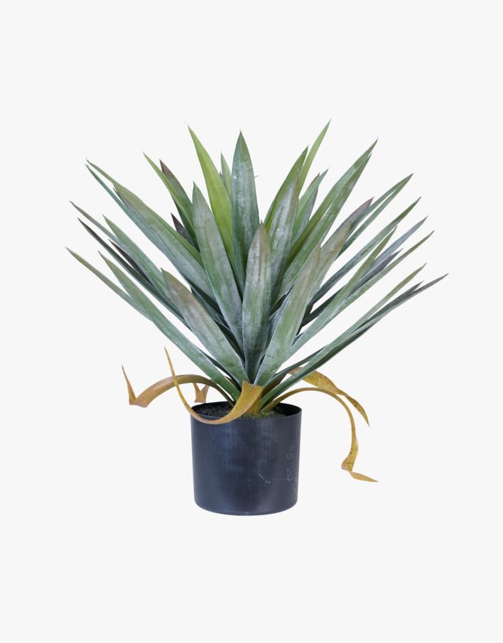 Taim roheline - 41x41x48 cm roheline - 1