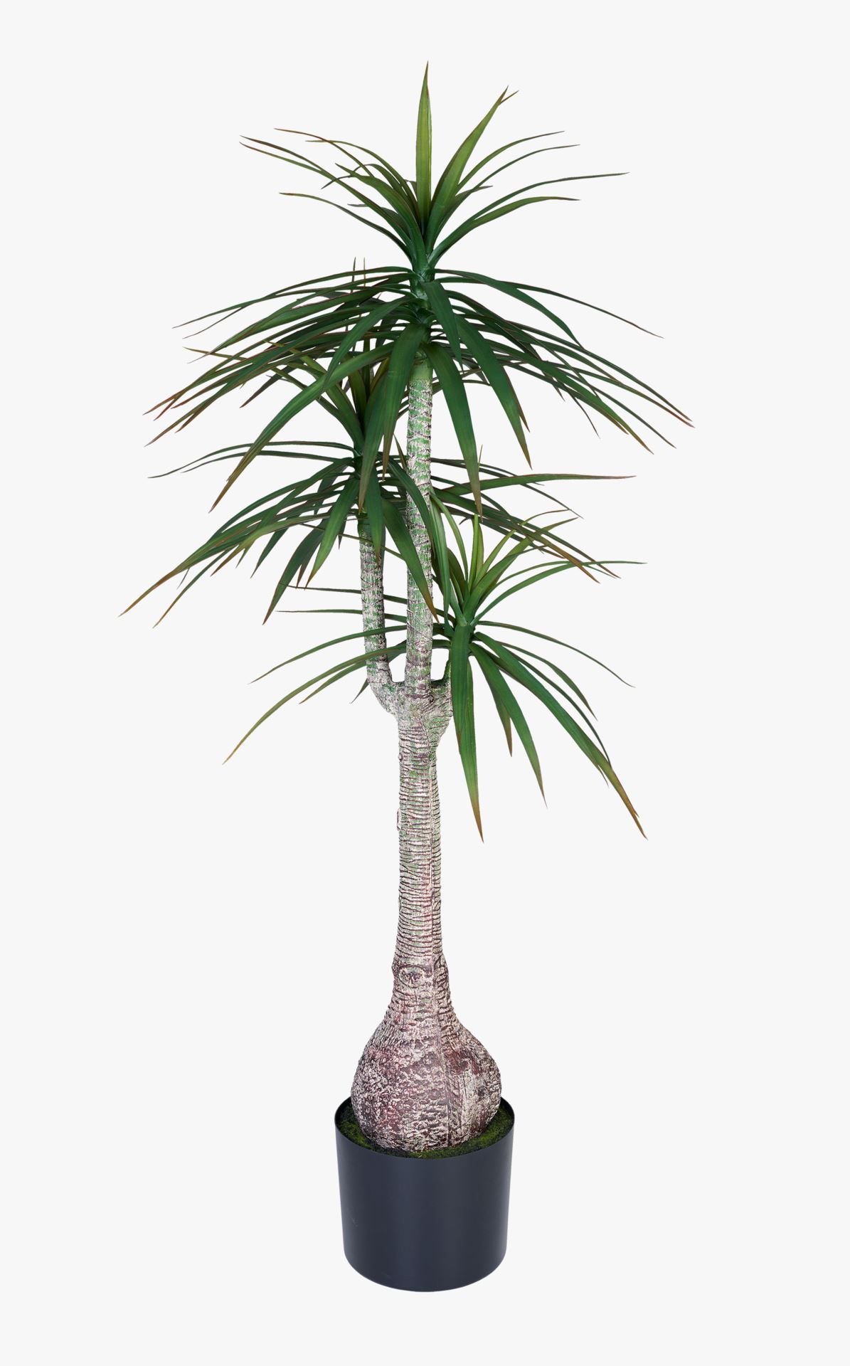 Taim roheline - 60x60x147 cm roheline - 1