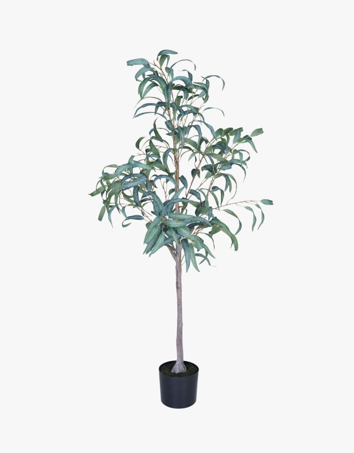 Taim roheline - 55x50x150 cm roheline - 1