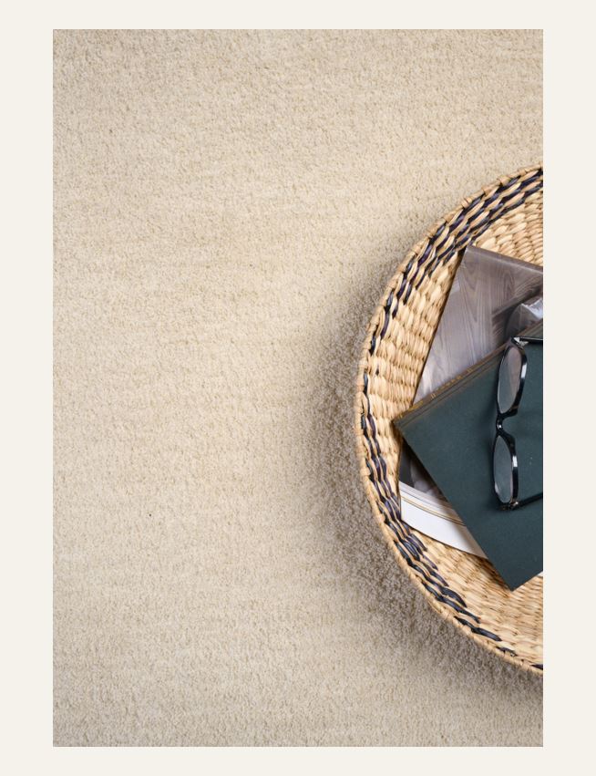 Vaip hele beige - 2