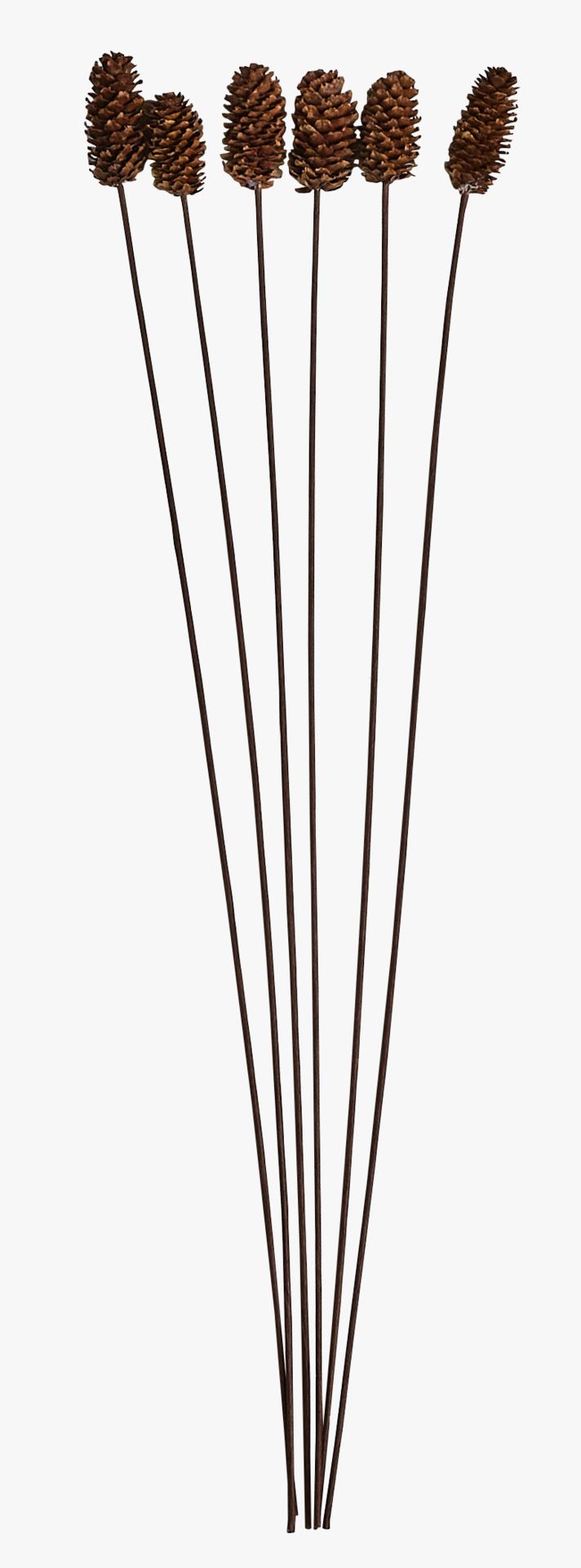 Lilled pruun - 60 cm pruun - 1