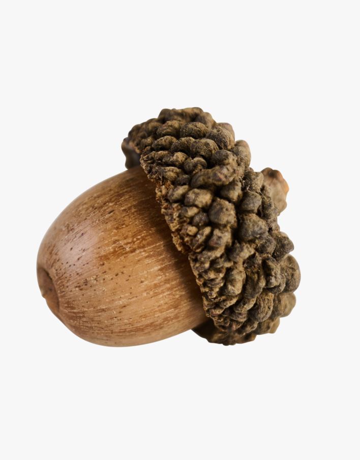 Kaunistus pruun - 12x7x20 cm pruun - 1