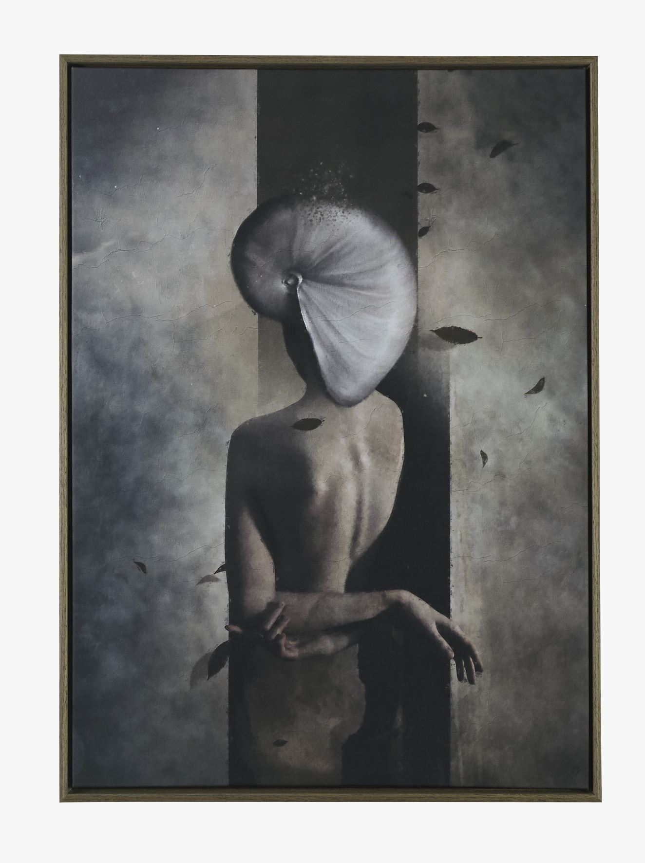 Pilt pruun - 50x70 cm pruun - 1