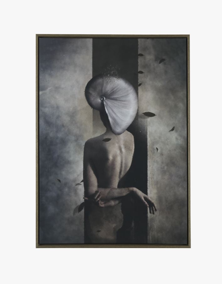 Pilt pruun - 50x70 cm pruun - 1