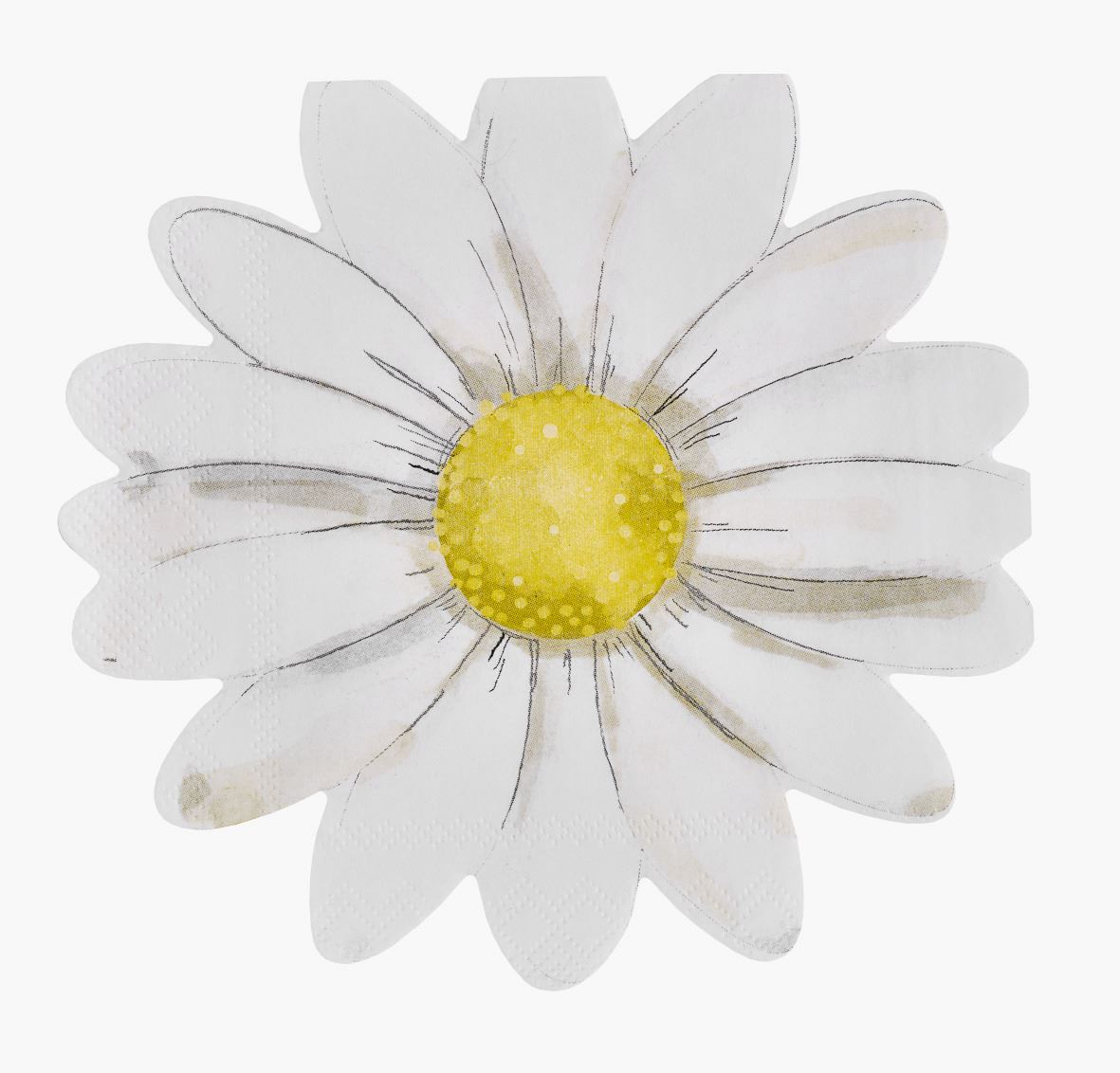 Pabersalvrätikud mitmevärviline/valge - 33x33 cm mitmevärviline/valge - 1