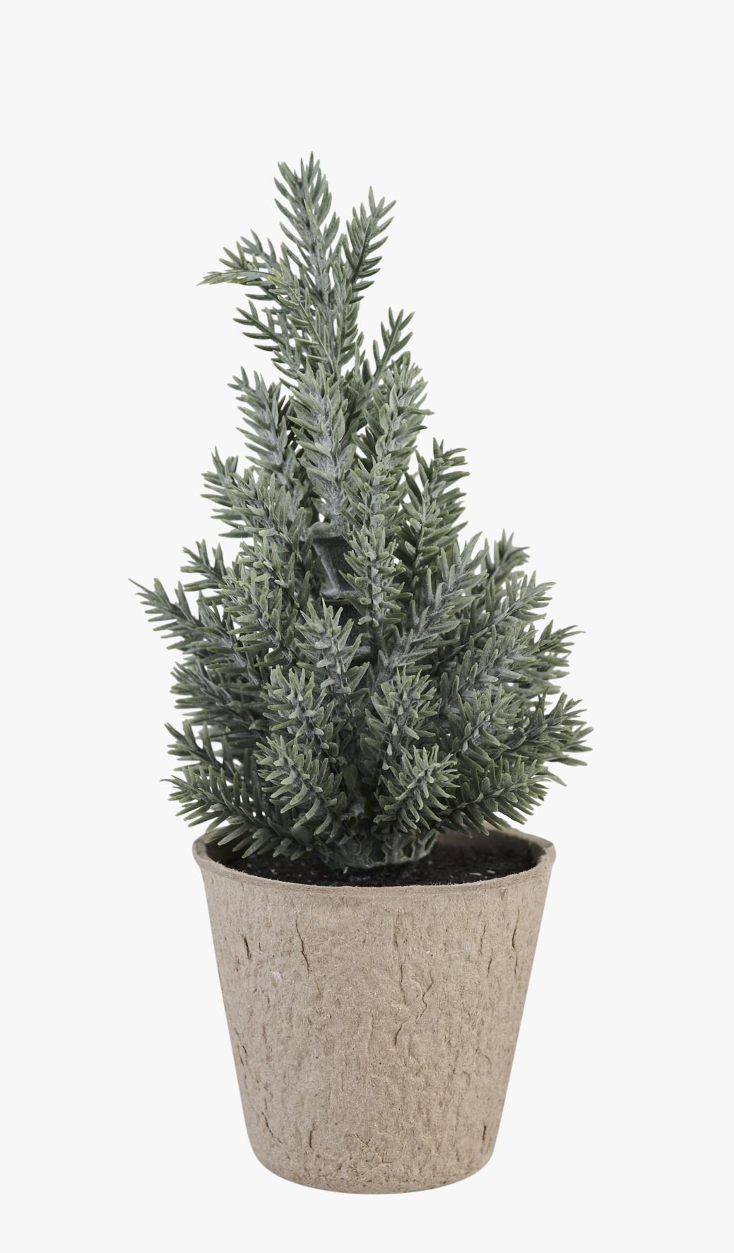 Jõulukuusk merihein - 6,5x6,5x17 cm merihein - 1