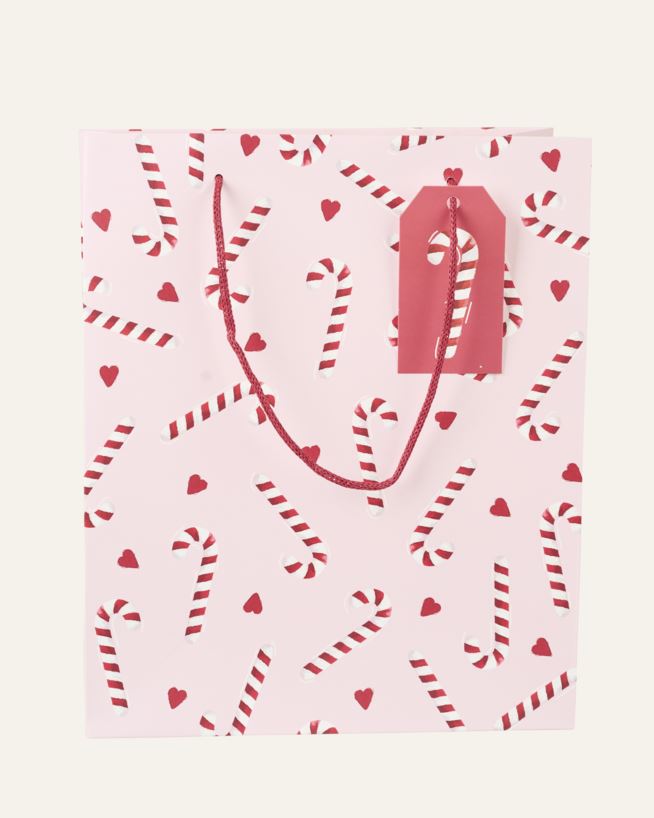 Kinkekott roosa - 24x29x10 cm roosa - 1