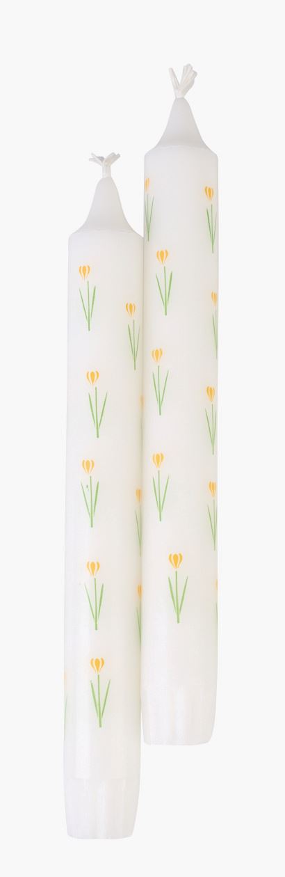 Krooniküünal mitmevärviline/kollane - 2,2x19 cm mitmevärviline/kollane - 1