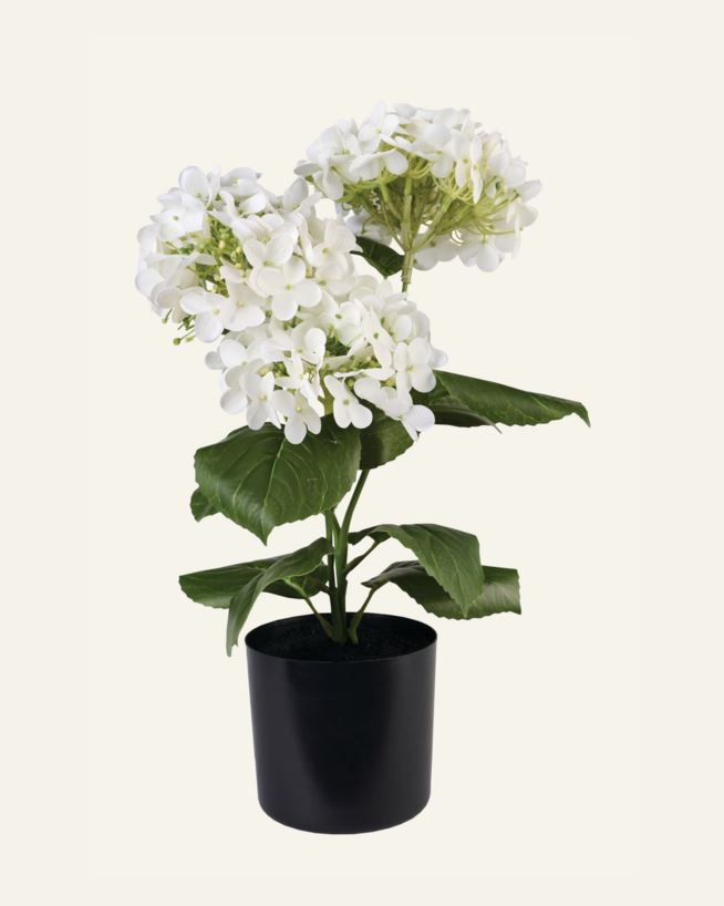 Taim valge - 26x26x43 cm valge - 1