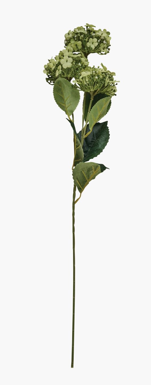 Lill heleroheline - 10x30x64 cm heleroheline - 1