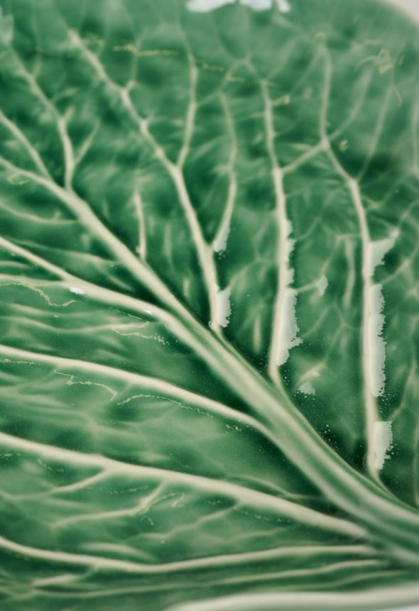 Taldrik roheline - 3