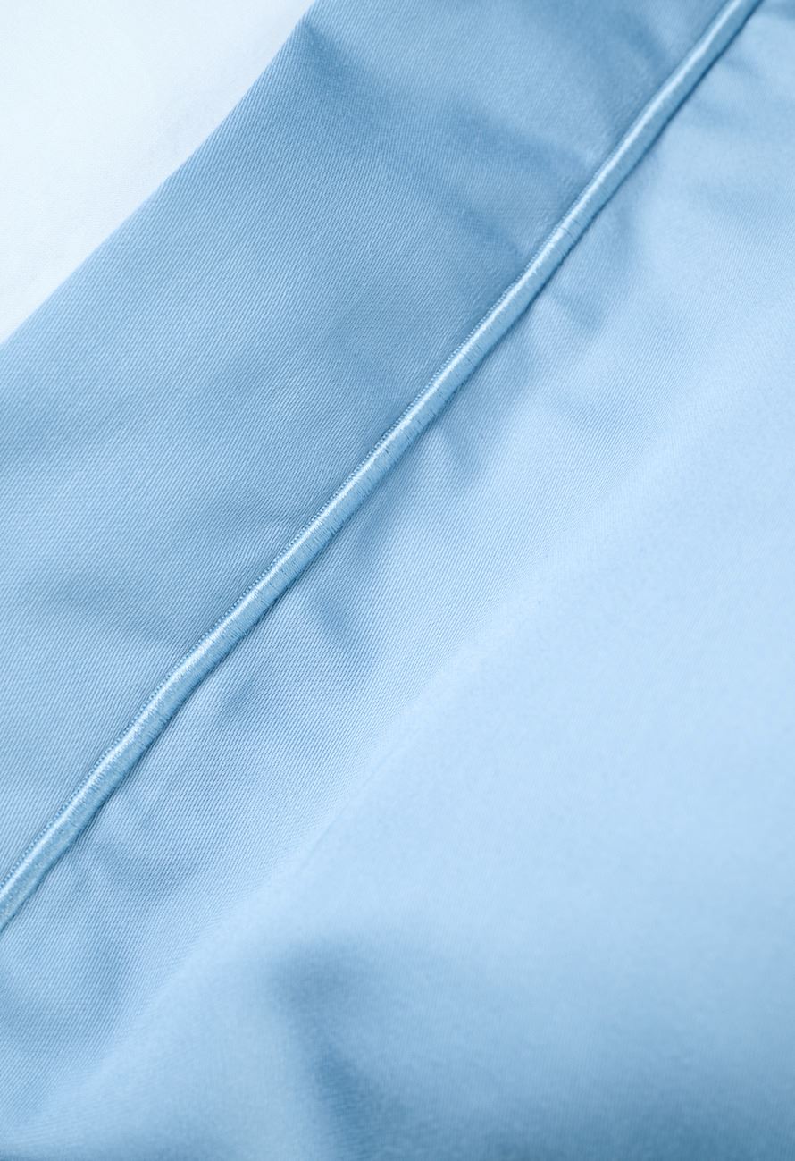 Padjapüür taevasinine - 3