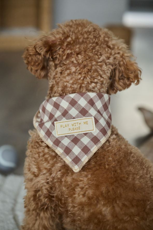 Bandana pruun - 3