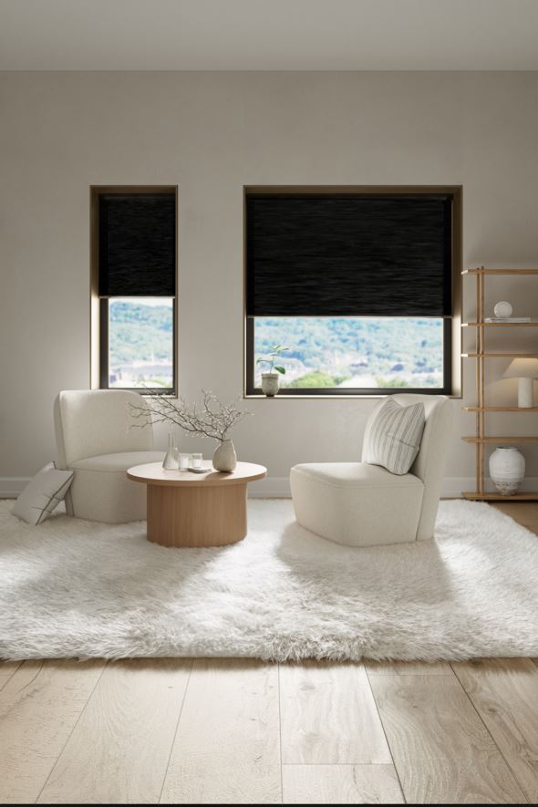Valgust filtreeriv topelt- voldikkardin must - 60x160 cm must - 1