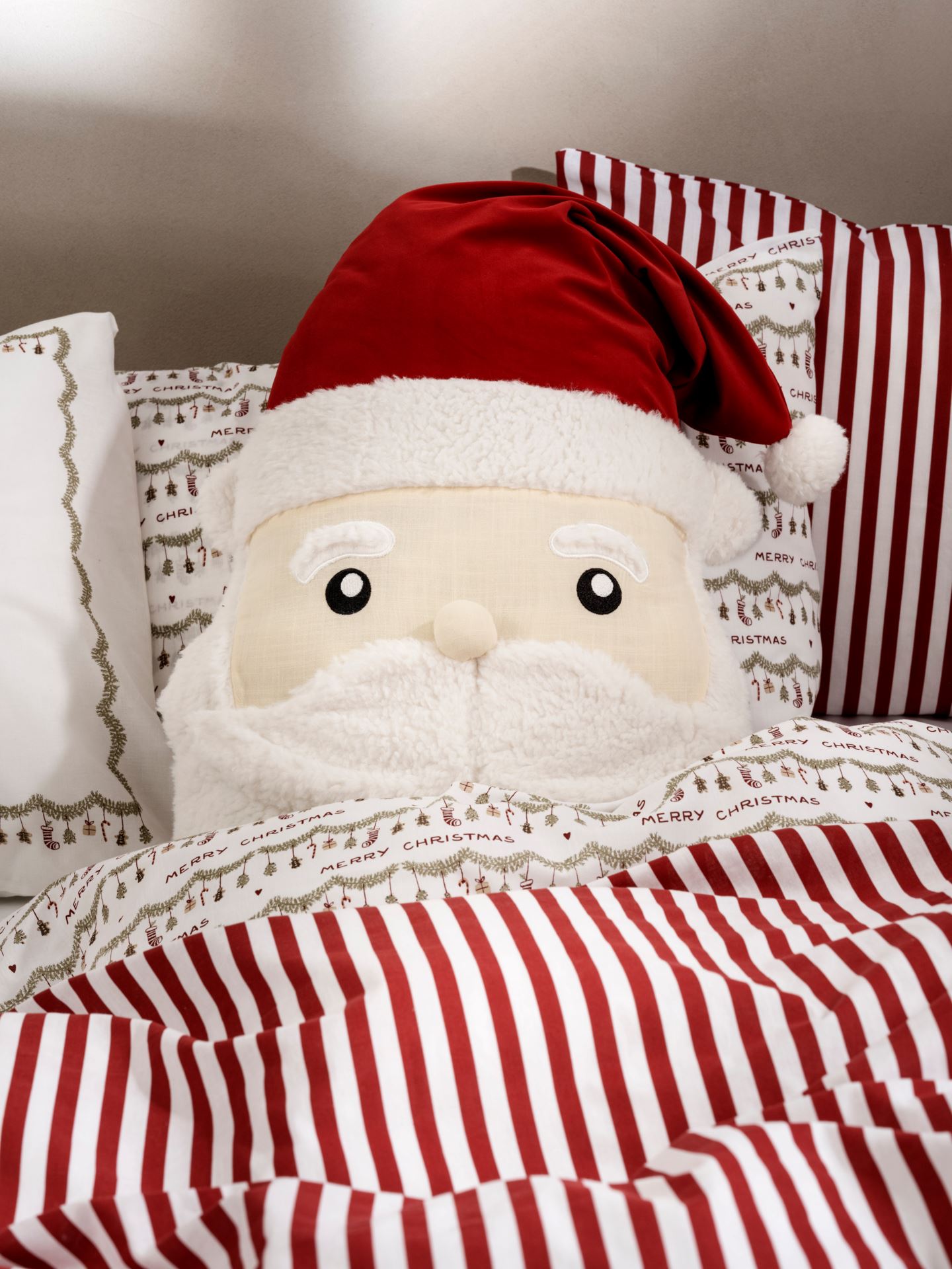 Dekoratiivpadi mitmevärviline - 2