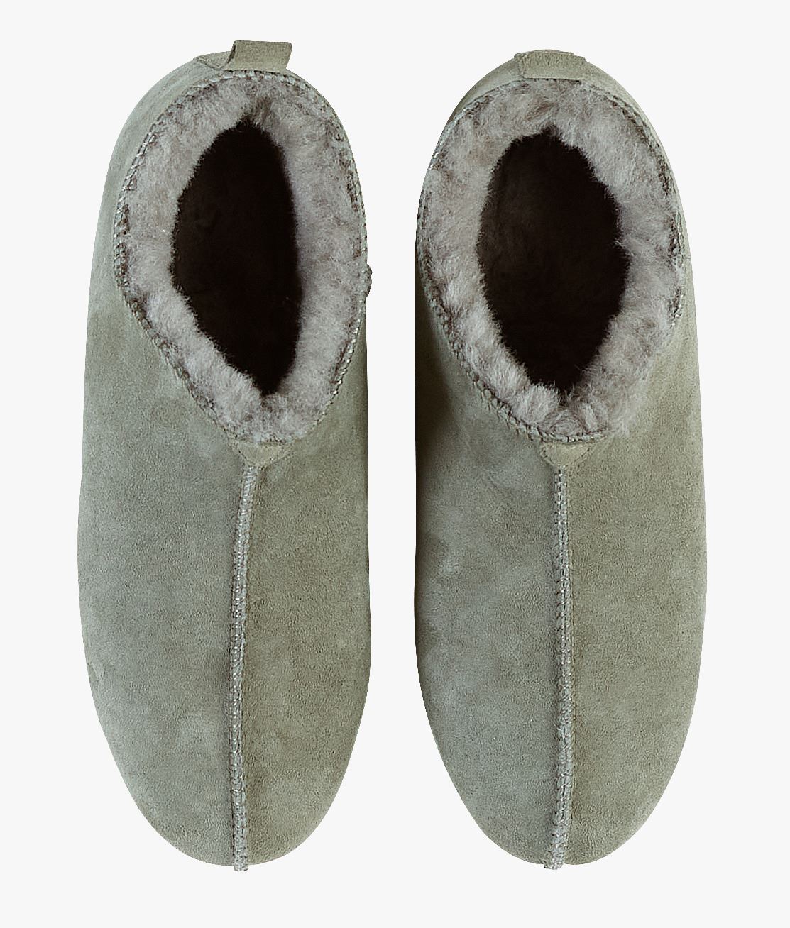 Sussid oliiviroheline - 39 oliiviroheline - 1